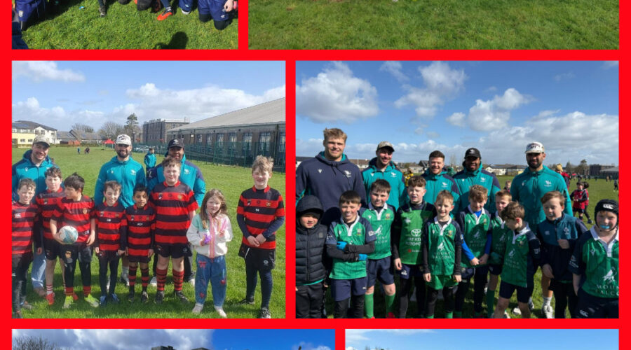 Aviva Mini Rugby Festival Brings 450+ Young Players to St Mary’s, Galway